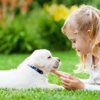flonatur Césped Artificial Premium Altura 30 mm Modelo BELGRADO para Exterior e Interior, Niños y Perros – Piscinas… - Imagen 5