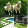 flonatur Césped Artificial Premium Altura 30 mm Modelo BELGRADO para Exterior e Interior, Niños y Perros – Piscinas… - Imagen 7